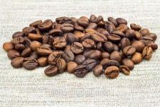 피 아이 엘(PIL)로스터리 | Pile roasted coffee beans on burlap, close-up. 이미지 (503048978) - 게티이미지뱅크 Pile roasted coffee beans on burlap, close-up.