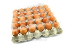 Eggs from chicken farm in the package 이미지 (486106520) - 게티이미지뱅크 Eggs from chicken farm in the package