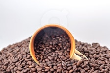 피 아이 엘(PIL)로스터리 | ceramic mug on a pile of roasted coffee beans 이미지 (465984172) - 게티이미지뱅크 ceramic mug on a pile of roasted coffee beans