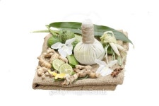 Natural Spa Ingredients . The herbal compress ball and ingredien 이미지 (502181744) - 게티이미지뱅크 Natural Spa Ingredients... 