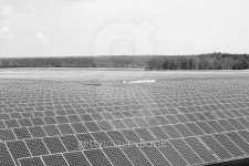 Farm of solar panels gathering sunlight to make electricity 이미지 (495877886) - 게티이미지뱅크 Farm of solar panels... 