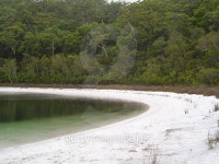 Clear water reflects the green foliage of Fraiser Island 이미지 (502076448) - 게티이미지뱅크 Clear water reflects the green... 