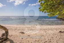 Tropical beach of Guadeloupe 이미지 (477392716) - 게티이미지뱅크 Tropical beach of Guadeloupe
