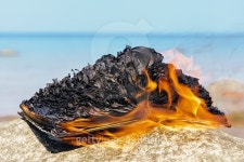 Book burning 이미지 (488244390) - 게티이미지뱅크 Book burning