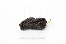 자드키친 | mulberry isolated on white background 이미지 (475345204) - 게티이미지뱅크 mulberry isolated on white background