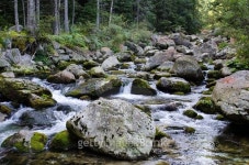 Retezat National Park, Romania 이미지 (491363540) - 게티이미지뱅크 Retezat National Park, Romania