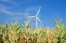 electric windmill 이미지 (487090694) - 게티이미지뱅크 electric windmill