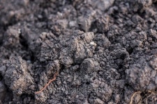 Soil 이미지 (480296234) - 게티이미지뱅크 Soil