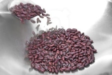 Roasting kidney beans 이미지 (496213276) - 게티이미지뱅크 Roasting kidney beans
