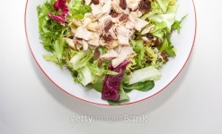 Chicken salad with tomatoes and raisin 이미지 (531722047) - 게티이미지뱅크 Chicken salad with tomatoes and raisin