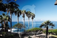 Blue Tenerife 이미지 (492310916) - 게티이미지뱅크 Blue Tenerife