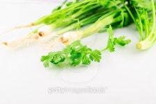 parsley and  leeks 이미지 (468491668) - 게티이미지뱅크 parsley and  leeks