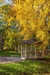 Pergola in Autumn Park 이미지 (498806834) - 게티이미지뱅크 Pergola in Autumn Park