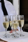 Classes of champagne 이미지 (468277404) - 게티이미지뱅크 Classes of champagne