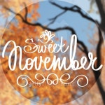 Handmade vector calligraphy and text sweet november 이미지... 게티이미지뱅크 Handmade vector calligraphy and text sweet november