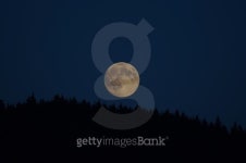 Moon On The Horizon 이미지 (473556368) - 게티이미지뱅크 Moon On The Horizon