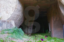 Syracuse archeological park 이미지 (490186336) - 게티이미지뱅크 Syracuse archeological park