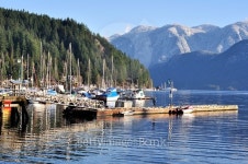 marina in Deep Cove 이미지 (480794030) - 게티이미지뱅크 marina in Deep Cove