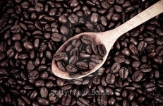 roasted coffee beans in wooden spoon placed 이미지 (466140542) - 게티이미지뱅크 roasted coffee beans in wooden spoon placed