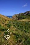 LEtacq, Jersey, U.K. 이미지 (478154302) - 게티이미지뱅크 LEtacq, Jersey, U.K.