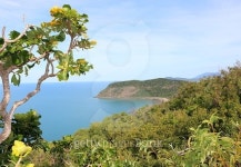 Island 이미지 (486437184) - 게티이미지뱅크 Island