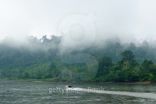 Indonesia - Tropical landscape on the river, Borneo 이미지 (477783736) - 게티이미지뱅크 Indonesia - Tropical landscape on the... 