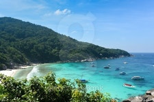 Paradise island with green mountains in the azure sea 이미지 (479173746) - 게티이미지뱅크 Paradise island with green... 