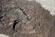 Black ice melting on a road 이미지 (502818906) - 게티이미지뱅크 Black ice melting on a road