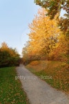 autumn in the park 이미지 (485014094) - 게티이미지뱅크 autumn in the park