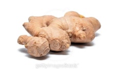 ginger 이미지 (496129836) - 게티이미지뱅크 ginger