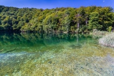 Virgin nature of Plitvice lakes national park, Croatia 이미지 (490774904) - 게티이미지뱅크 Virgin nature of Plitvice lakes... 