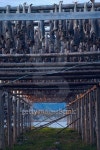 Rows of dried cod on Lofoten islands 이미지 (502445648) - 게티이미지뱅크 Rows of dried cod on Lofoten islands