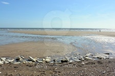 Low Tide at Bridlington Eat Yorkshire UK 이미지 (474200216) - 게티이미지뱅크 Low Tide at Bridlington Eat Yorkshire UK