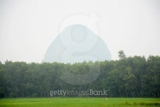 Farmer planting rice at  field with mountain background 이미지 (491812996) - 게티이미지뱅크 Farmer planting rice at  field... 