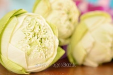 Lotus flower for Worship Buddha 이미지 (485347884) - 게티이미지뱅크 Lotus flower for Worship Buddha