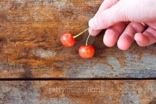 the cherry 이미지 (481035298) - 게티이미지뱅크 the cherry