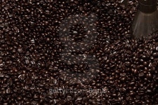 펀치드렁크 로스터리(Punchdrunk roastery) | freshly roasted coffee beans in a coffee roaster 이미지 (499305426) - 게티이미지뱅크 freshly roasted coffee beans in a coffee...