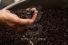 펀치드렁크 로스터리(Punchdrunk roastery) | freshly roasted coffee beans in a coffee roaster 이미지 (499305534) - 게티이미지뱅크 freshly roasted coffee beans in a coffee...