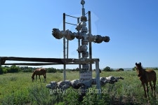 The horses who are grazed at an oil well 이미지 (500809106) - 게티이미지뱅크 The horses who are grazed at an oil well