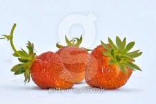 3 ripe strawberries on white 이미지 (488553666) - 게티이미지뱅크 3 ripe strawberries on white