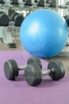 Rubber dumbbells and yoga ball on yoga mat 이미지 (494849344) - 게티이미지뱅크 Rubber dumbbells and yoga ball on yoga mat