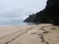 Abel Tasman national park 이미지 (483936640) - 게티이미지뱅크 Abel Tasman national park