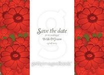 Save the date wedding invite card template with red flowers 이미지 (466361750) - 게티이미지뱅크 Save the date wedding invite... 