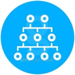 Organization Chart icon on a round button. 이미지 (486961548) - 게티이미지뱅크 Organization Chart icon on a round button.