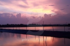Sun set on a fish farm 이미지 (473573438) - 게티이미지뱅크 Sun set on a fish farm