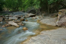 Stream 이미지 (468348246) - 게티이미지뱅크 Stream