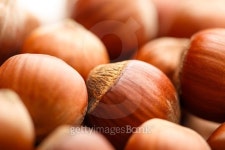 Fresh brown hazelnut 이미지 (475833826) - 게티이미지뱅크 Fresh brown hazelnut