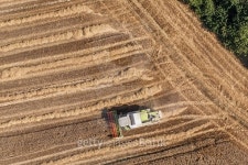 aerial view of combine on the harvest field 이미지 (497832366) - 게티이미지뱅크 aerial view of combine on the harvest field