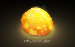 brain idea  light Glow 이미지 (473312252) - 게티이미지뱅크 brain idea  light Glow