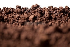 Soil 이미지 (475053832) - 게티이미지뱅크 Soil